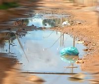 “Ainda vamos sofrer bastante pelas décadas de abandono do combate ao Aedes Aegypti”