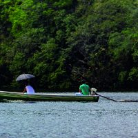 Amazônia, desmatamento e desnacionalização