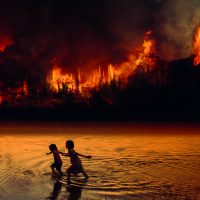 Bolsonaro e o grande capital no rastro das queimadas amazônicas