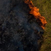 ENQUANTO ELES BATEM CABEÇA, NOSSOS BIOMAS ARDEM!