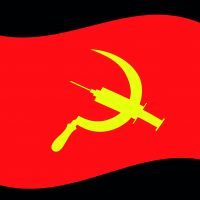A pandemia da Covid-19 e a luta socialista – Por B. Boris Vargaftig