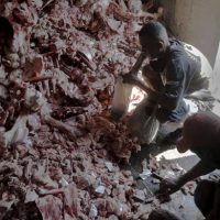 ESTAMOS ULTRAPASSANDO O LIMITE DA BARBARIE